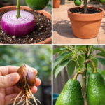 The Ultimate Guide to Container Depth for Vegetable Gardening: Why Depth Matters More Than Soil Quality