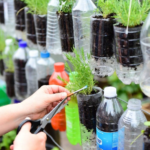 How to Make a Simple Water Purifying Filter Using Natural Materials