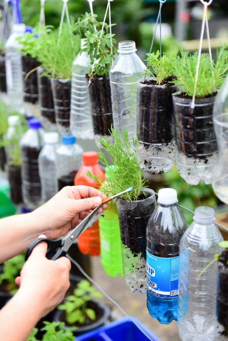 Plastic Bottle Planters – Step by Step Guide