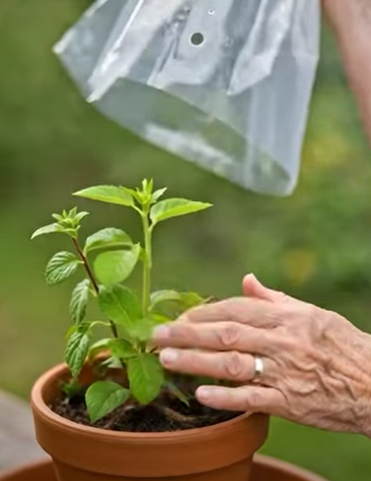 How do we use the plastic bag trick (step by step)