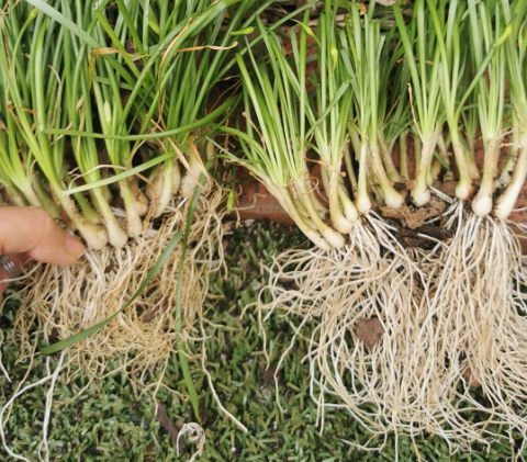 Tired of battling dull, greasy hair or a flaky scalp