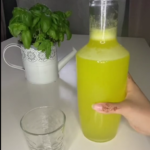 The Datura Genus: 12 Chilling Reasons This “Angel’s Trumpet” Is One Touch Away from Disaster