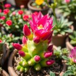 Indoor Seed Starting: The Best Crops To Start In February