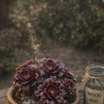 The Soil Secret Grandma Never Wasted: The Power of Compost Tea