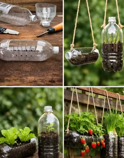 Recycle Plastic Bottles to Grow Beautiful Hanging Vegetables at Home