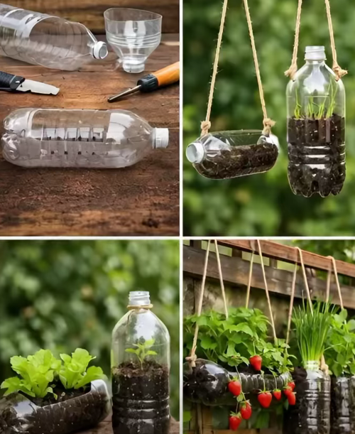 Recycle Plastic Bottles to Grow Beautiful Hanging Vegetables at Home