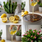 Benefits of Natural Infused Waters