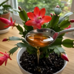 Why Gardeners Love Cinder Block Raised Beds: Simple, Tidy & Surprisingly Effective