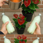 This Tiny Daily Habit Is Why Her Plants Live for Years