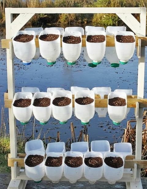 I Used Plastic Milk Bottles to Make a Vertical Planter