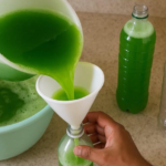 How to Build a Homemade Egg Incubator Using a Water Bottle