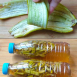 This is how the Amish keep fresh watermelon without a refrigerator