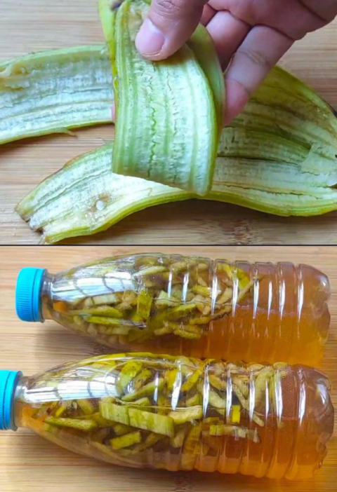 The hidden power pf banana peel - most underestimated wonder of nature.