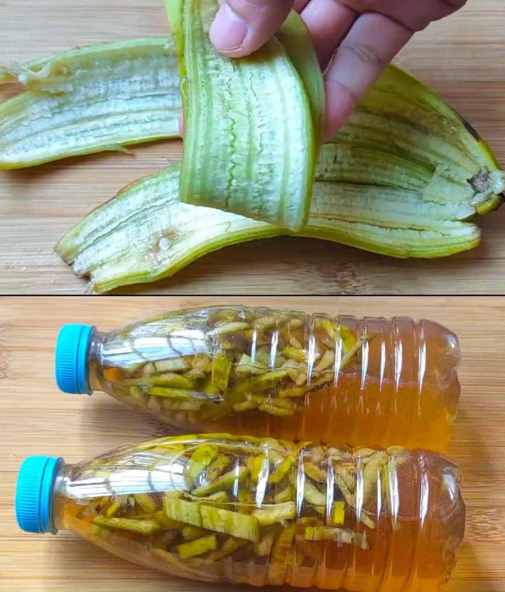 The hidden power pf banana peel - most underestimated wonder of nature.