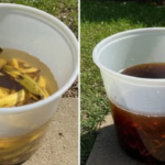 Stop Buying Fertilizer! One Teaspoon of This Makes Orchids Flower Fast