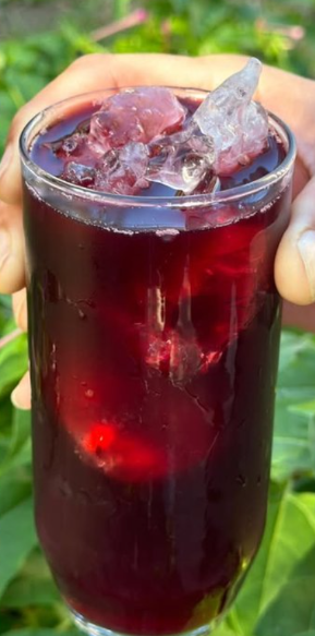 Hibiscus Tea with Cinnamon and Bay Leaf: A Natural Remedy for Inflammation and Better Sleep
