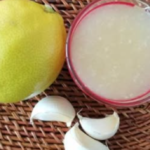 Natural Pest Control Remedies for Cockroaches