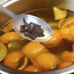 How to Grow Cucumbers Vertically for Double the Harvest