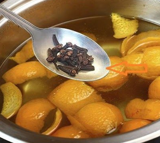 Boiling Orange Peels and Cloves: Our Grandmothers’ Ancient Habit