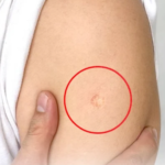 Boiling Orange Peels and Cloves: Our Grandmothers’ Ancient Habit