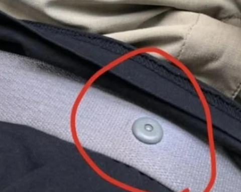What the Little Button on Your Seat Belt Really Does – A Tiny Feature With a Huge Safety Purpose