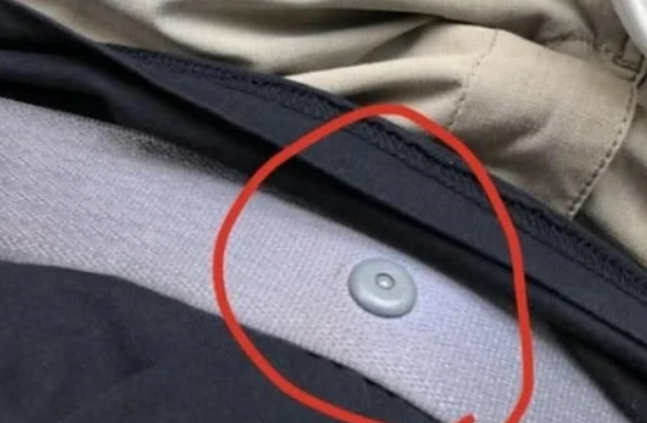What the Little Button on Your Seat Belt Really Does – A Tiny Feature With a Huge Safety Purpose