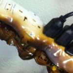 Nourish & Energize: A Refreshing, Metabolism-Supporting Morning Elixir