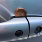 The Complete Guide to Building and Growing an Herb Spiral