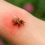 If You See a Penny in Your Car Door Handle — Here’s What It Actually Means