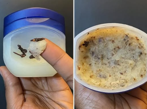 The Clove & Petroleum Jelly Salve: Nature's Simple, Potent Secret