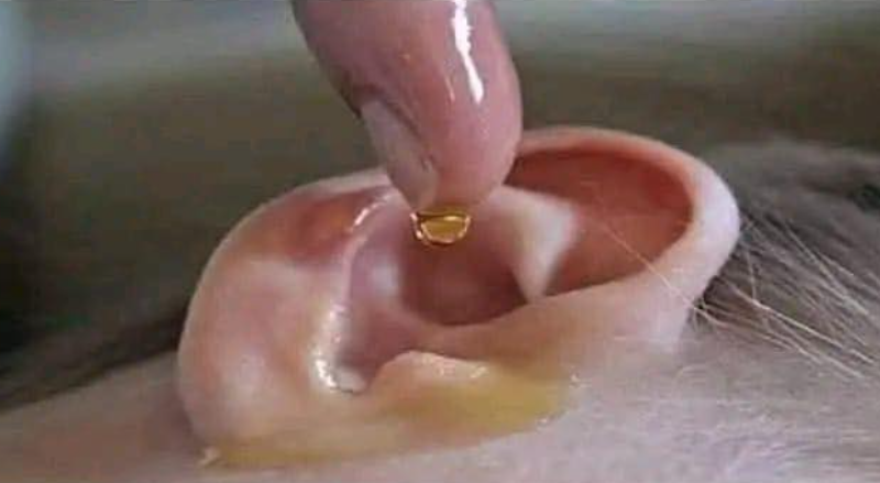 Hearing Loss: What Really Causes It — And What You Can Do