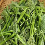 What It Really Means When a Slug Enters Your Home