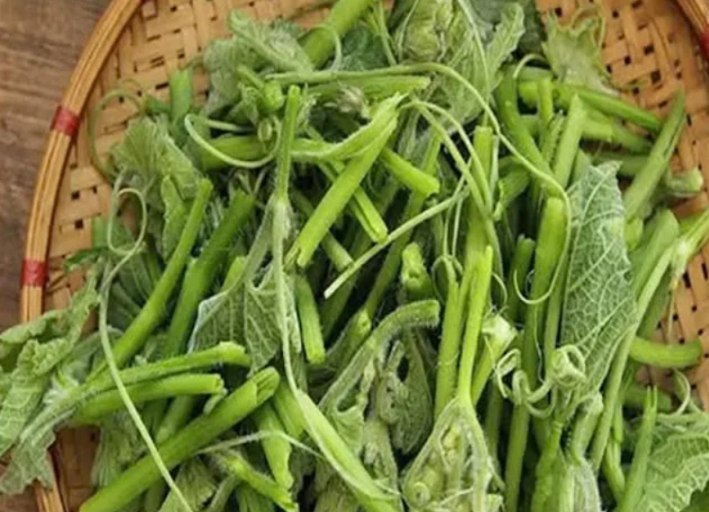 3 Vegetables That Support Cancer Prevention — Backed by Science