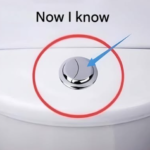 What It Really Means When a Slug Enters Your Home