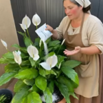 Never Toss Your Eggshells Again