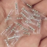 Tiny Teeth, Big Possibilities: The Promise of Stem Cells in Baby Teeth