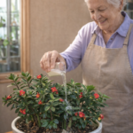 The Natural Power of Garlic, Honey, and Cloves: A Realistic Approach to Health