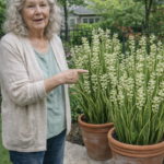 9 Mistakes That Stop Fishbone Cactus From Blooming and How to Fix Them