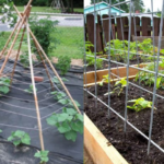 Building a Hinged Hoophouse for Your Raised Bed Garden: A Comprehensive Guide