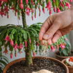 The Natural Fertilizer That Encourages Stronger Roots and Healthier Blooms