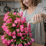 The Secret Natural Fertilizer That Makes Indoor Plants Bloom Faster and Healthier