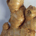 Aloe Vera Oil for Hair Growth: A Natural, Step-by-Step Guide to Thicker, Longer Hair