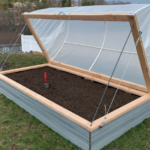 The Science Behind Sprouting Potatoes: How One Slice Turns Into a Full Plant