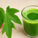 Why Plant in Cardboard Boxes and How to Set Them Up