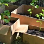 Get a big harvest: 9 cucumber trellis and support ideas