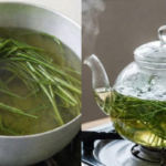 Common Mullein: Benefits and Uses of Nature’s Versatile Herb