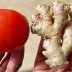 The Lethal Charm of Datura: Beauty, History, and Serious Hidden Risks