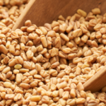 Doctors Warn: The Hidden Health Risks and Benefits of Cassava (Yuca) You Should Kno