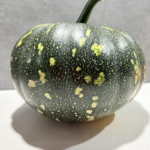 Turmeric Soak for Thyroid Support: Barbara O’Neill’s Natural Wellness Method Explained