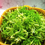 Guava Recipes for Balanced Blood Sugar and Stronger Hair – Natural Remedies that Work